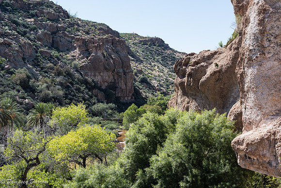 The Berber suspension bridge crosses Queen Creek.
