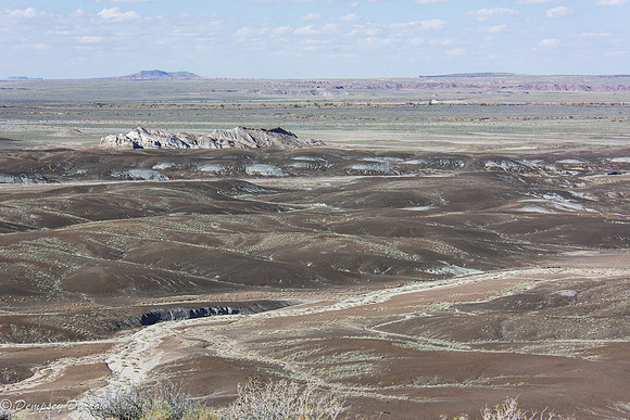 Some of the sands of the Painted Desert.