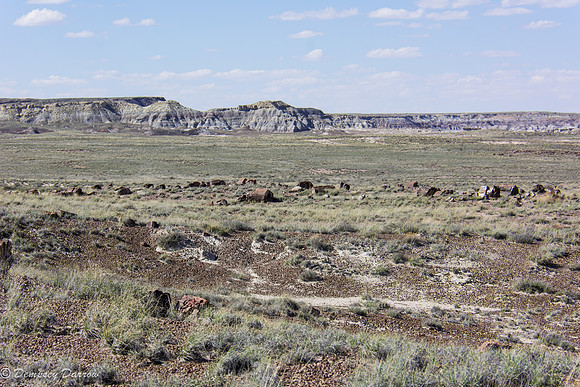 The colors of the rock formations is striking.
