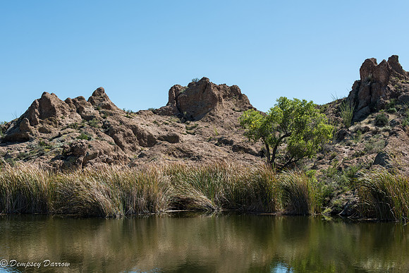 Cattails frame Ayer lake.