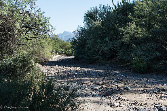 Never camp in a wash in the desert southwest.