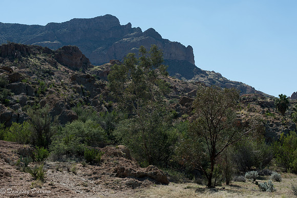 Picketpost Mountain in the distance.